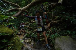 BIB: 
                            <button type="button" onclick="openModal(19407238)" class="btn btn-primary btn-sm float-right btn-popup" data-toggle="modal" data-target=".modal-high-quality">
                        <i class="fas fa-shopping-cart"></i> Add to Cart
                    </button>
                                            <button type="button" onclick="isThisMe(19407238, true)" class="btn btn-success btn-sm float-right btn-popup btn-isme hidden" data-toggle="tooltip" data-placement="bottom" title="นี่คือรูปของคุณใช่ไหม คลิกที่นี่เพื่อเอาเข้าอัลบั้ม">
                        <i class="fas fa-plus"></i> Add to album
                    </button>
                    <button type="button" onclick="isThisMe(19407238, false)" class="btn btn-warning btn-sm float-right btn-popup btn-isnotme hidden">
                        <i class="fas fa-ban"></i> Remove from album
                    </button>